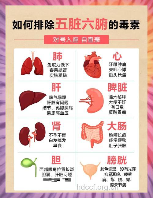 肾毒素太多影响健康 及时排毒很重要