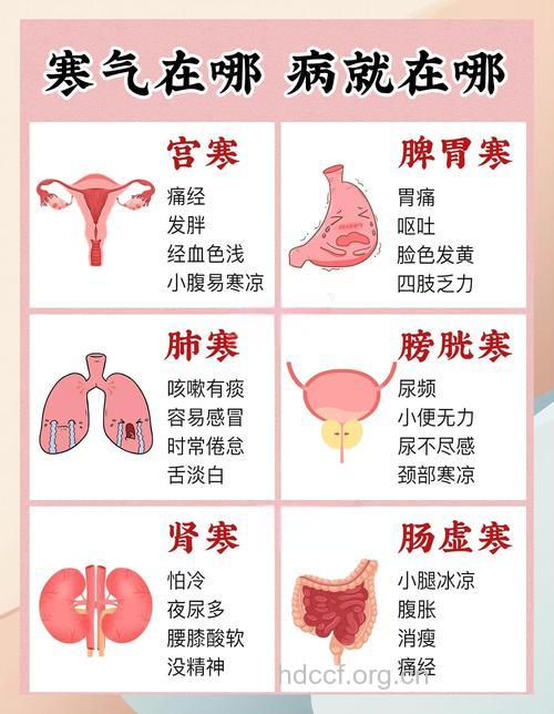 女人身体最怕着凉的部位