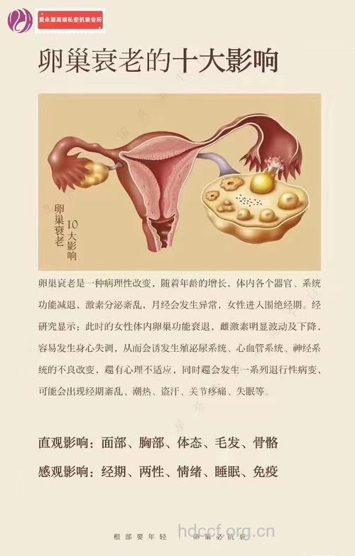 女性抗衰靠卵巢 卵巢保养要注意5个要点
