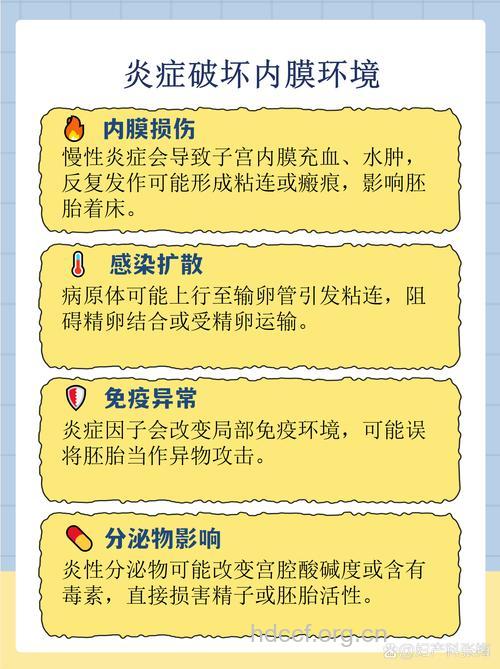 子宫内膜炎为什么会导致不育