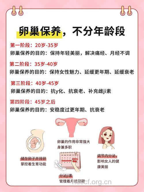 30岁女人卵巢保养6建议