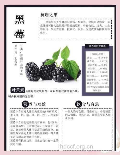 女人吃黑莓的好处 黑莓的营养价值