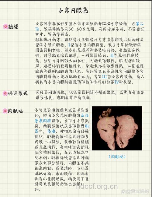 子宫内膜癌有哪些诊断方法