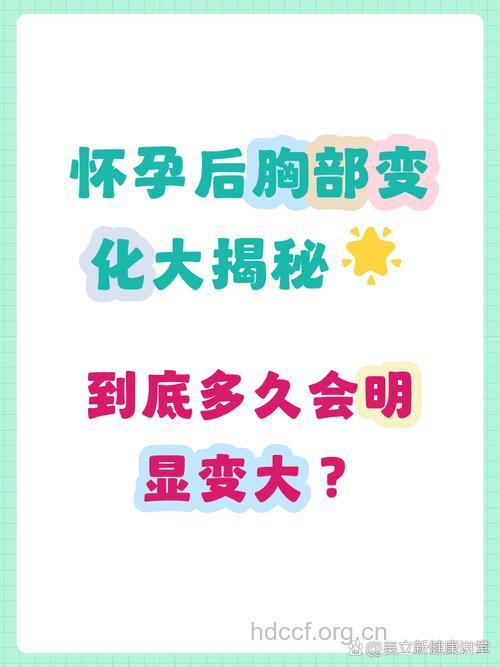 怀孕几天乳房会变大 揭秘孕期胸部变化