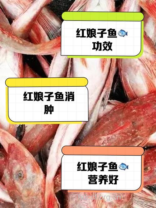 女人吃鱼子的好处