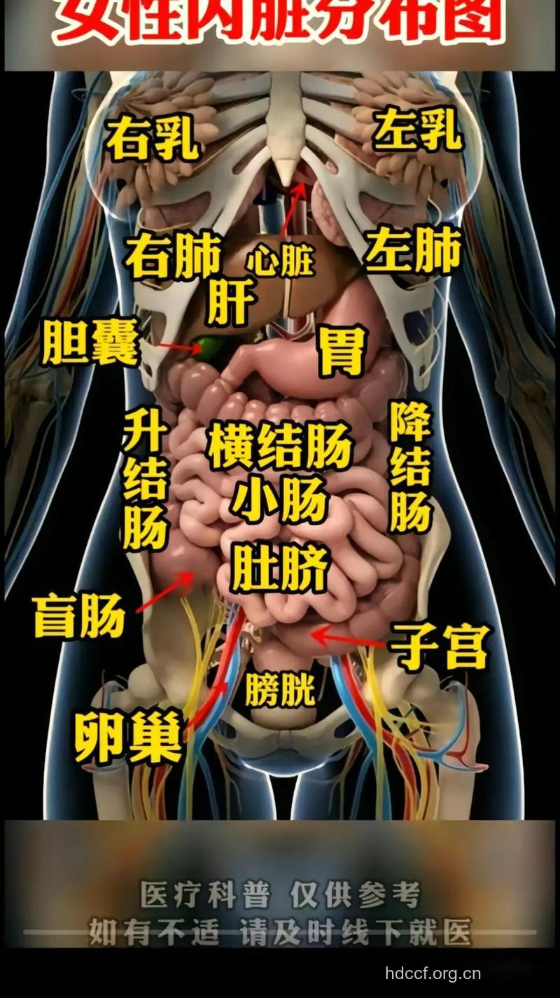 女人身体最脏的4个部位