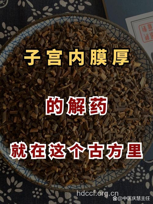 子宫内膜异位症吃什么中药好