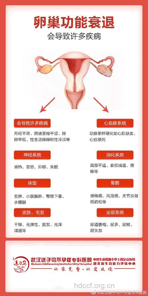 卵巢功能好不好?到底是谁说了算?