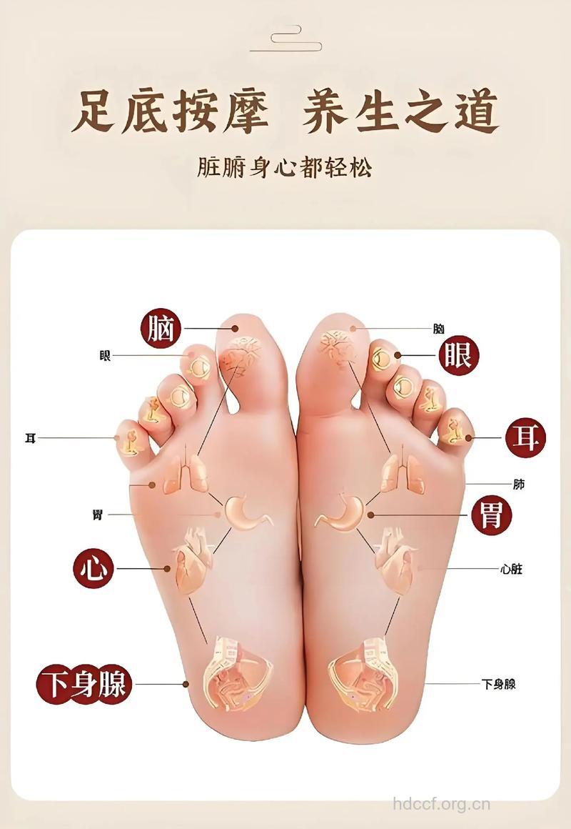 女性脚部如何保养