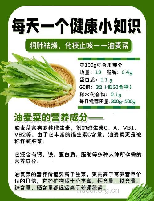 女人吃油麦菜的好处 油麦菜的营养价值