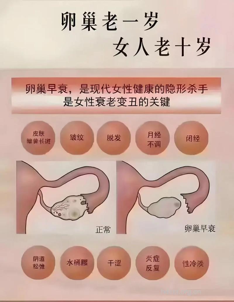 女性为何会与卵巢早衰结缘