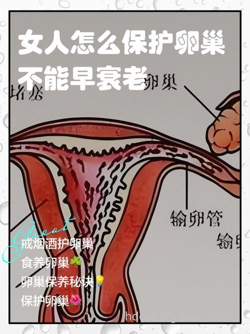 怎样避免卵巢早衰