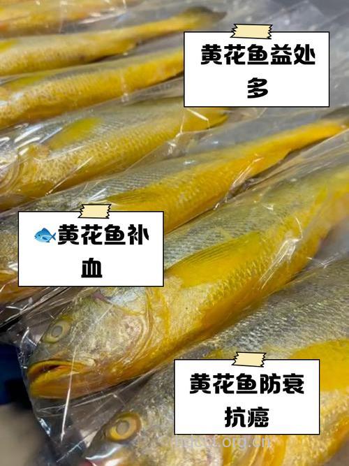 怀孕可以吃黄花鱼吗 适当吃有好处