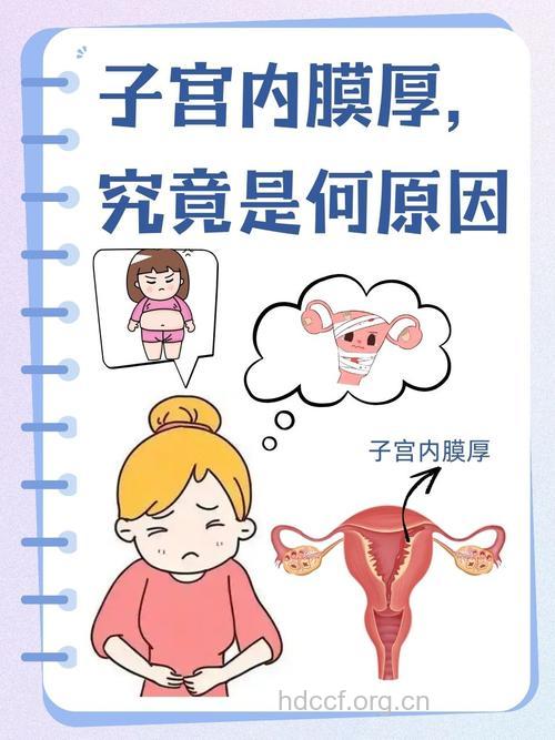 引起子宫内膜增厚的原因 分2个方面