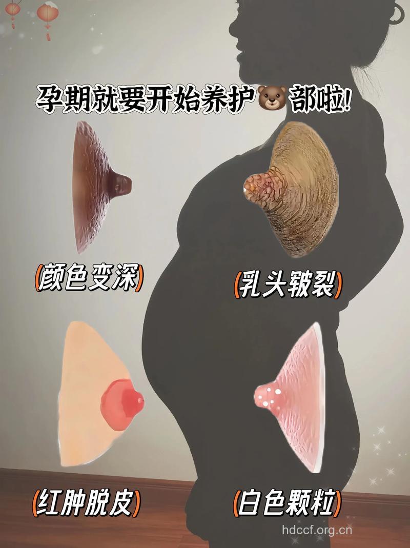 刚怀孕乳房会不会变大 揭秘孕期乳房变化过程