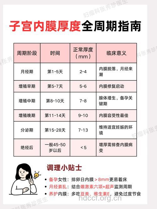 子宫内膜厚度与月经有什么关系