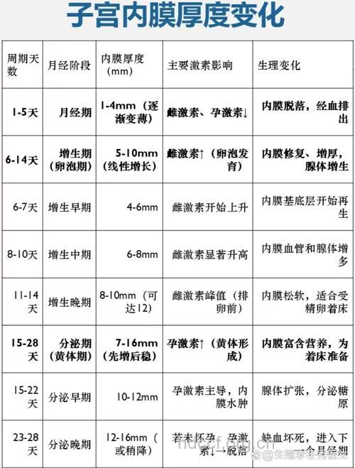 怀孕3周子宫内膜厚度多少正常