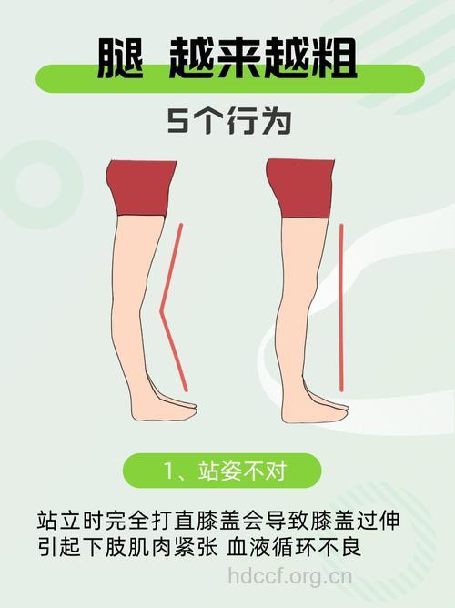 小腿为什么会变粗？