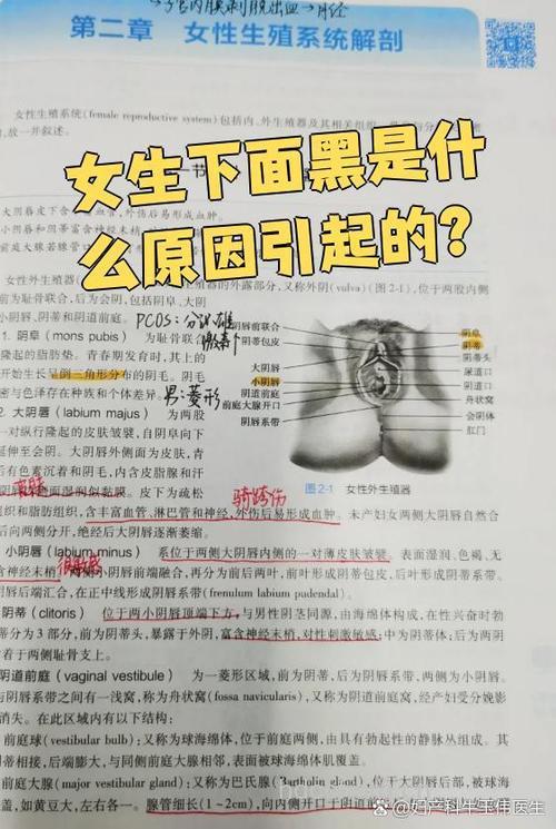 女性私处黑怎么回事