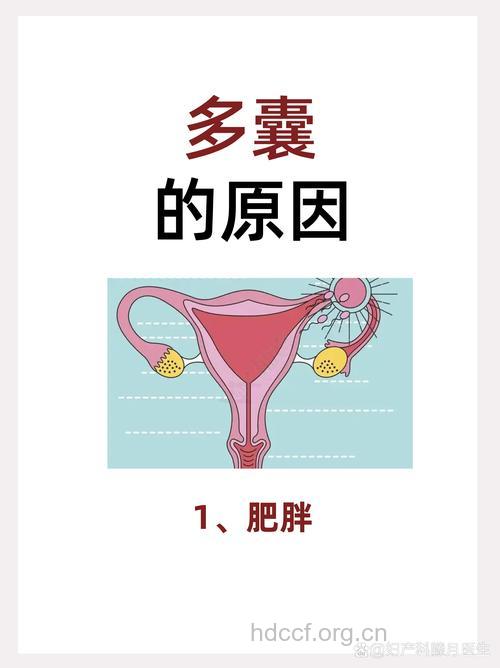 女性生须又肥胖小心卵巢