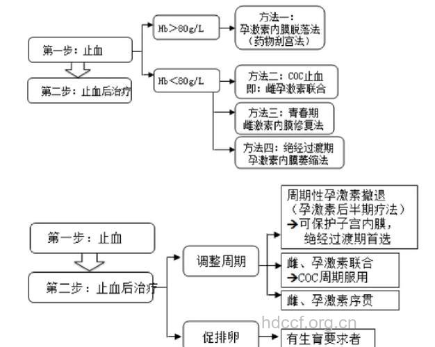 无排卵型功血的检查方法