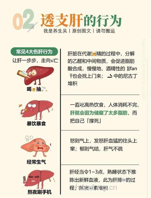 女性4大行为最伤肝脏