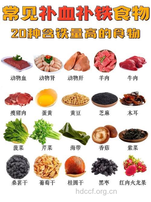 超级补血的食物大全