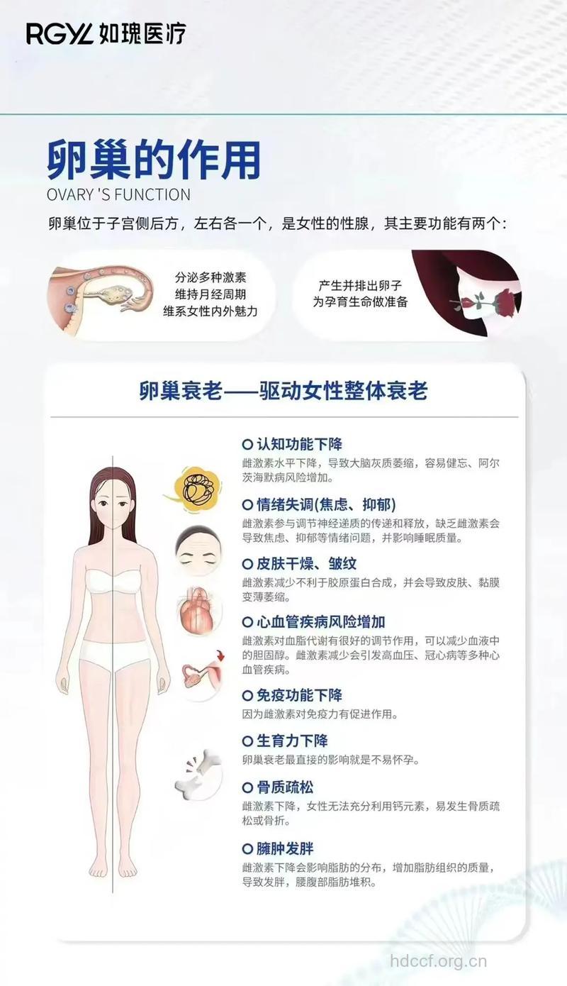 女人衰老和卵巢有什么关系