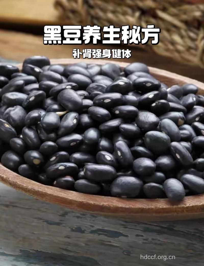 女人补肾吃什么 黑色食物最有效