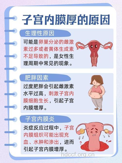 影响女性子宫健康的因素有哪些