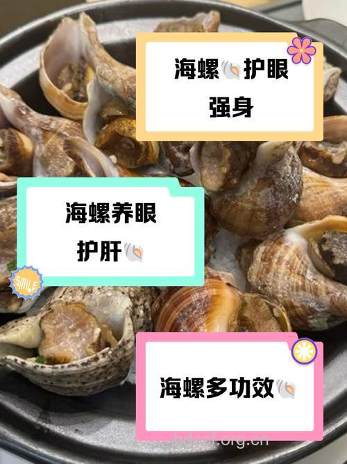 女人吃海螺的好处 海螺的营养价值