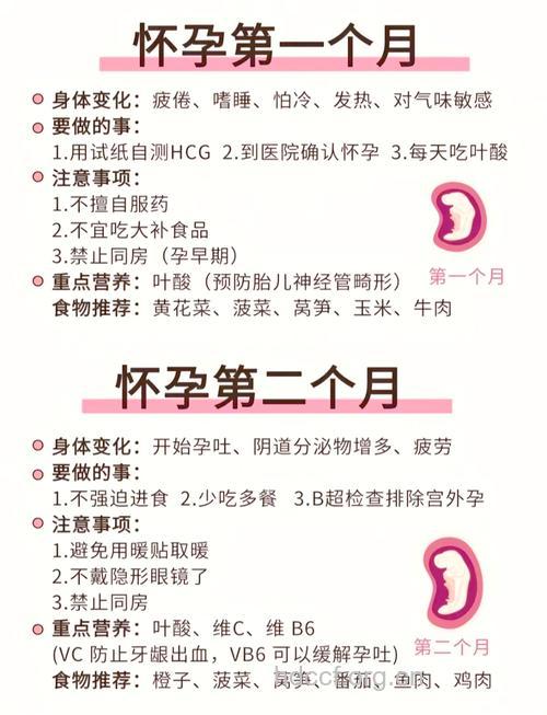 怀孕早期应注意哪些问题
