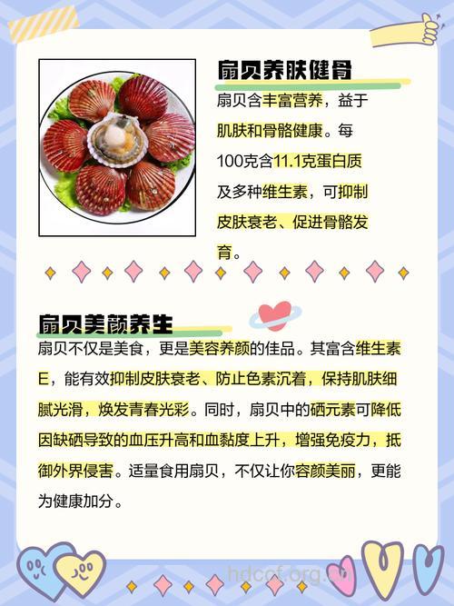 女人吃扇贝的好处 扇贝的营养价值