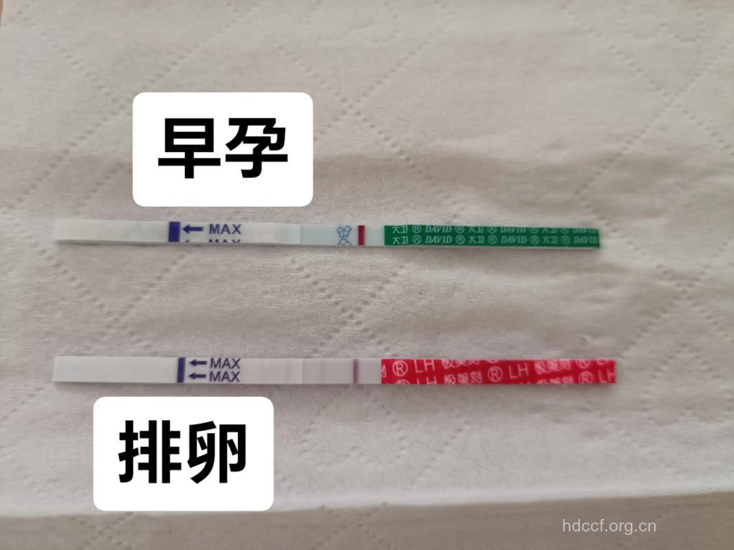 月经推迟10多天没来 试纸也检查不出怀孕