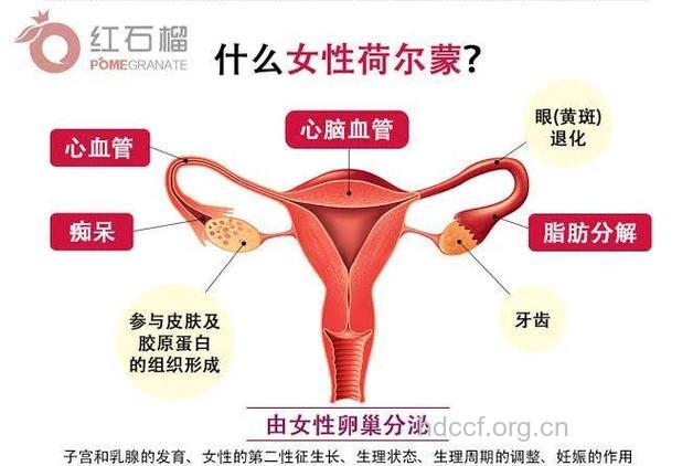 女人荷尔蒙失调怎么办