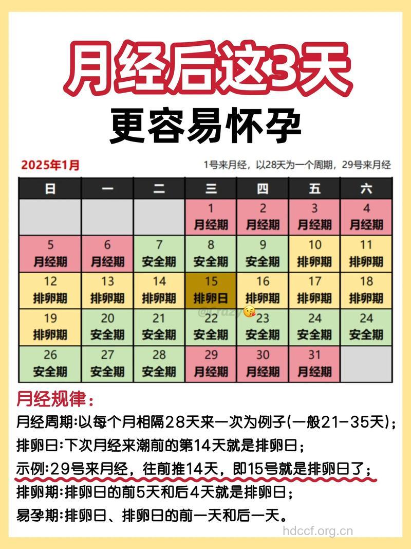 女性什么时间容易受孕