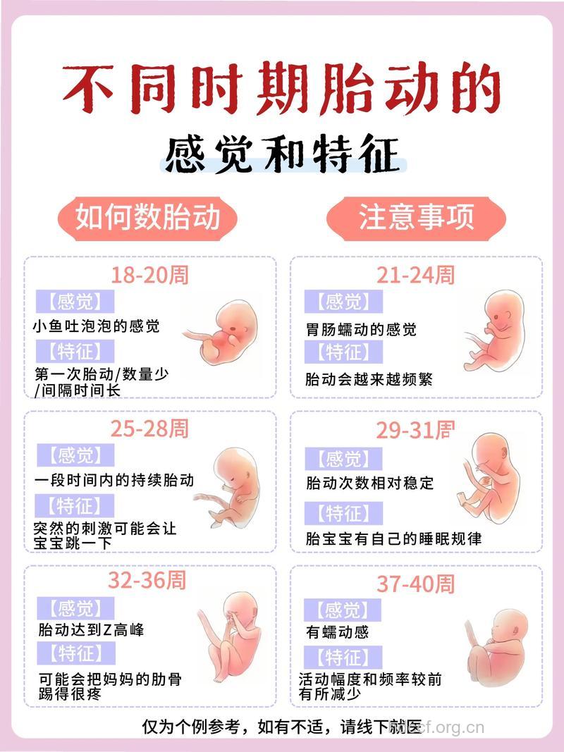 孕晚期监护胎动能救孩子命 怎样的胎动算异常