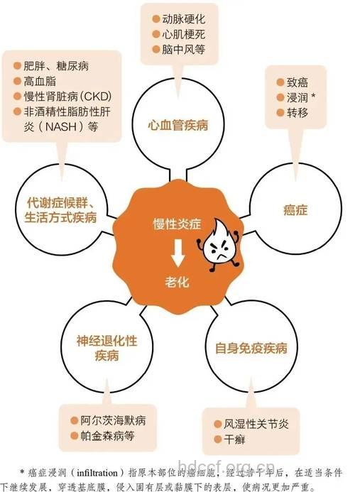 性与慢性疾病直接的影响