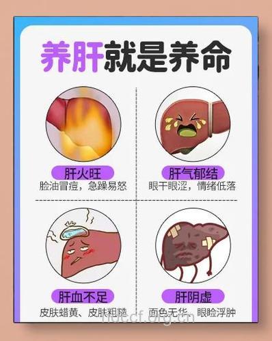 女性秋季养肝的6大招