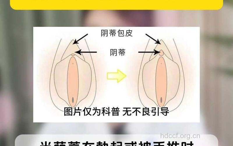 阴蒂异常有哪几种情况?