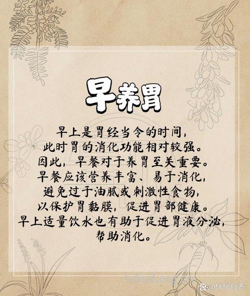 女人35岁养好胃 健康长寿有奔头