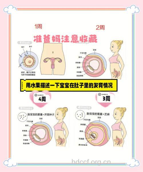 孕妇怀孕12周该如何保健