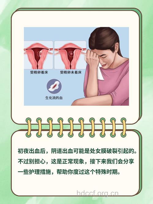 怀孕三个时期阴道出血的原因