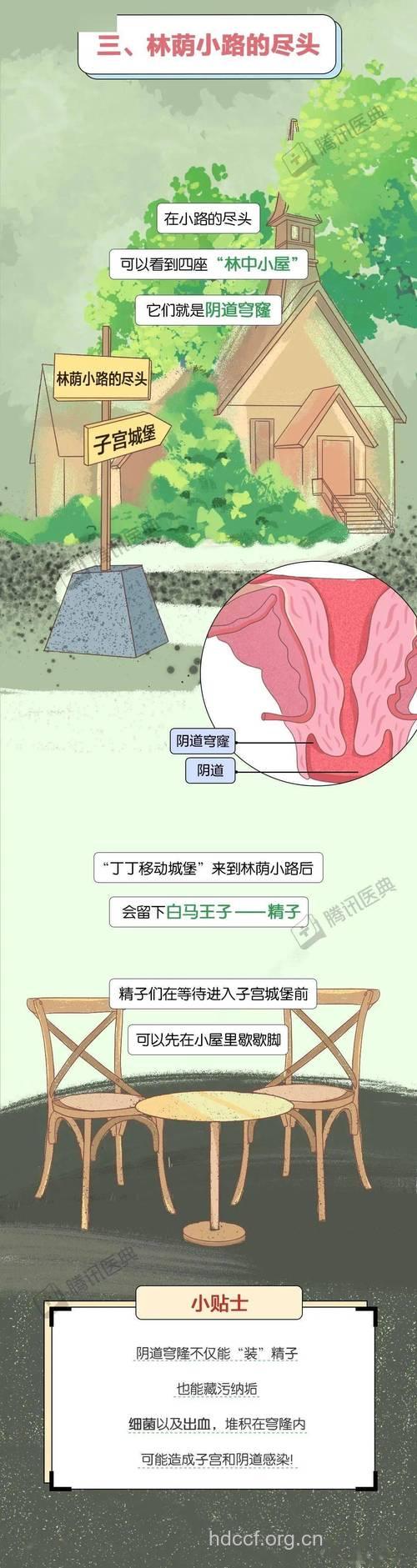 处女膜有什么作用 保护女性生殖系统