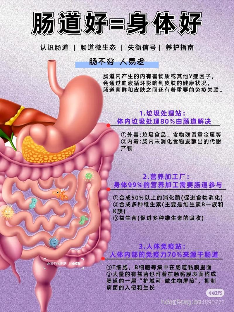 宿便积累毒素 11招赶走便秘