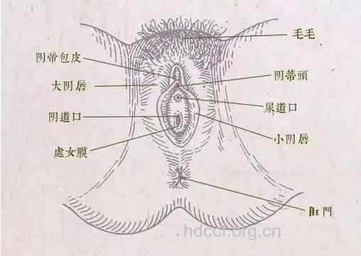 不做“干”女人 女性阴道干涩的原因