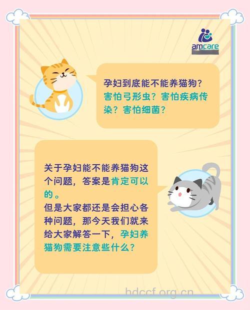 孕妇养宠物好吗 养宠物的利与弊