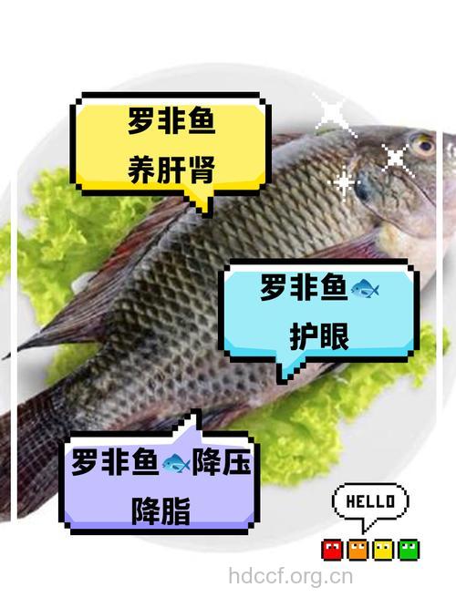 女人吃罗非鱼的好处 罗非鱼的营养价值