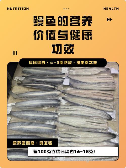 女人吃鳗鱼的好处 鳗鱼的营养价值