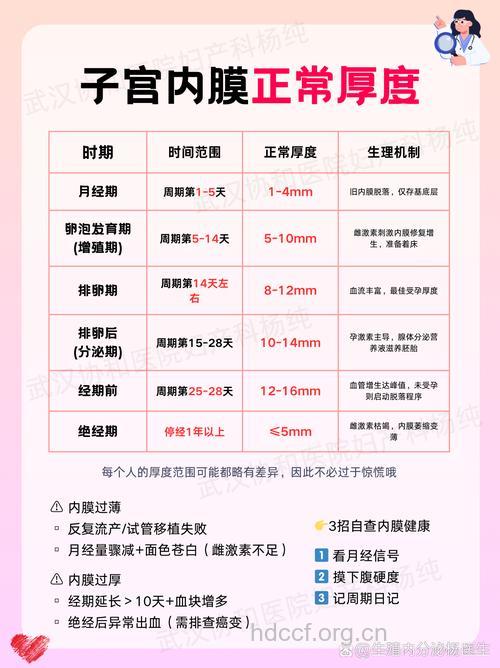 女性子宫内膜要多厚才正常？